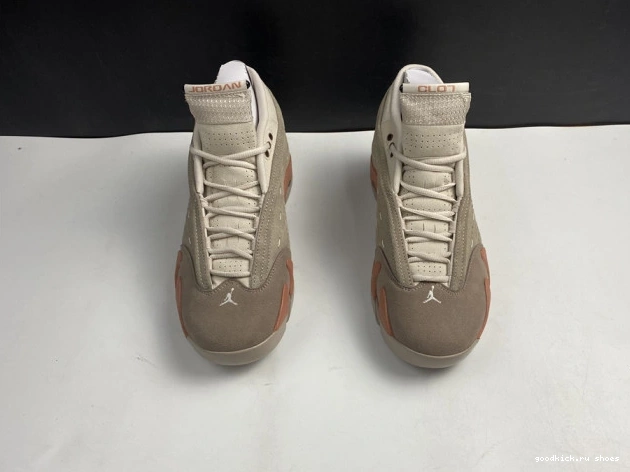 Terra Blush 14 DC9857-200 AIR Retro Jordan Clot Low 0714